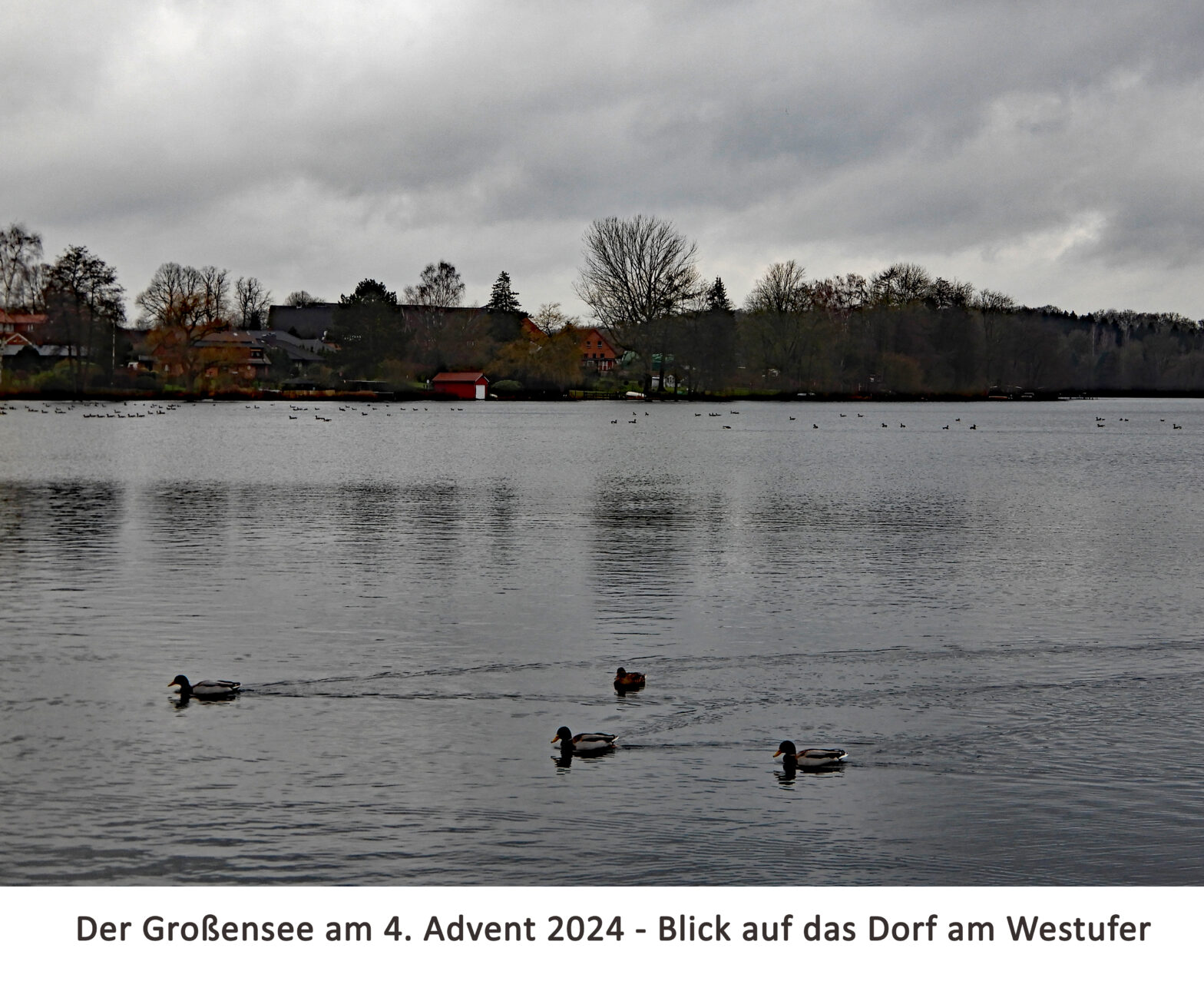 Blick auf den Großensee mit Westufer und Dorf - 4. Advent 2024